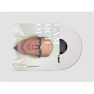 Lambchop - This (Is What I Wanted To Tell You)