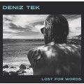 Deniz Tek - Lost For Words - lp