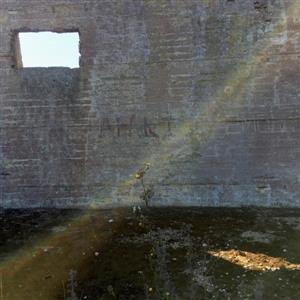 Desperate Journalist - In Search Of The Miraculous lp
