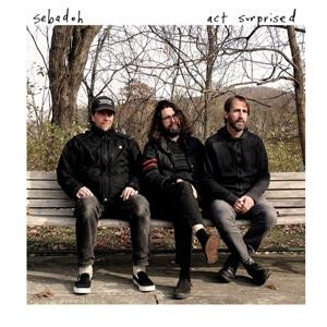 Sebadoh - Act Surprised col lp