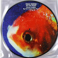 Vince Staples - Big Fish Theory - 2xlp