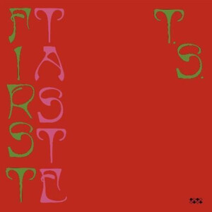 Ty Segall - First Taste lp