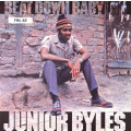 Junior Byles - Beat Down Babylon - lp