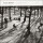Anouar Brahem - Les Pas Du Chat Noir - 2xlp