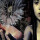 Future Sound Of London, The - Lifeforms - 2xlp