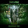 Vokonis - Grasping Time - lp
