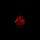 (dolch) - Feuer