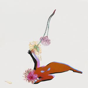 Future Islands - The Far Field lp