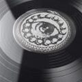 Rise And Fall - Alive in Sin - lp