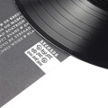Rise And Fall - Alive in Sin - lp