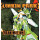 Linkin Park - Reanimation - 2xlp