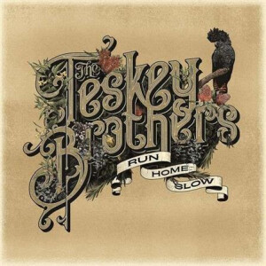 Teskey Brothers, The - Run Home Slow - lp