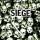 Siege - Drop Dead Complete Discography 2xlp