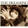 Kate Bush - The Dreaming - cd