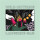 Wild Nothing - Laughing Gas - col 12"