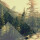 Amalthea - In the woods