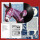 Protomartyr - Ultimate Success Today lp